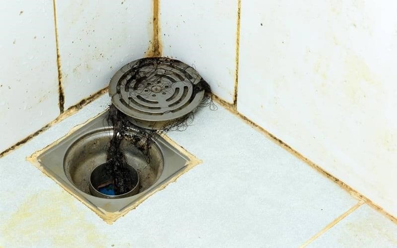 Lý do nhà vệ sinh xuất hiện mùi hôi thối có thể do quá trình phân hủy chất thải, thiếu vệ sinh hàng ngày, hoặc sự tích tụ của vi khuẩn và vi sinh vật gây mùi hôi.