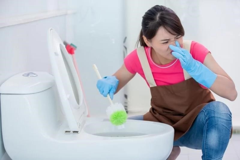 Lý do nhà vệ sinh xuất hiện mùi hôi thối có thể do quá trình phân hủy chất thải, thiếu vệ sinh hàng ngày, hoặc sự tích tụ của vi khuẩn và vi sinh vật gây mùi hôi.