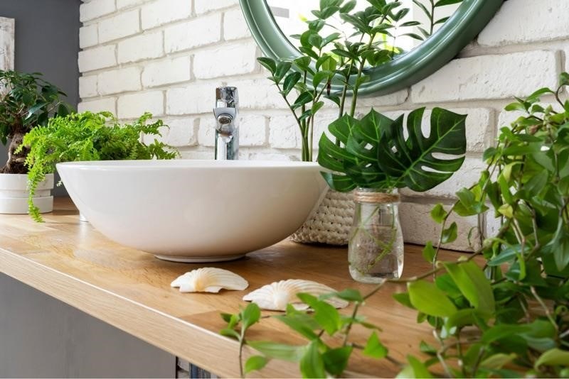 Đặt cây xanh trong nhà vệ sinh để khử mùi là một cách hiệu quả và tự nhiên để loại bỏ mùi hôi và mang lại không gian trong lành và thơm mát.